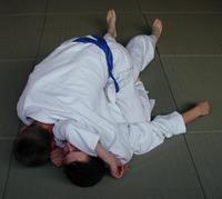 [Foto:
Judo-Haltegriff:
Tate Shio Gatame
]